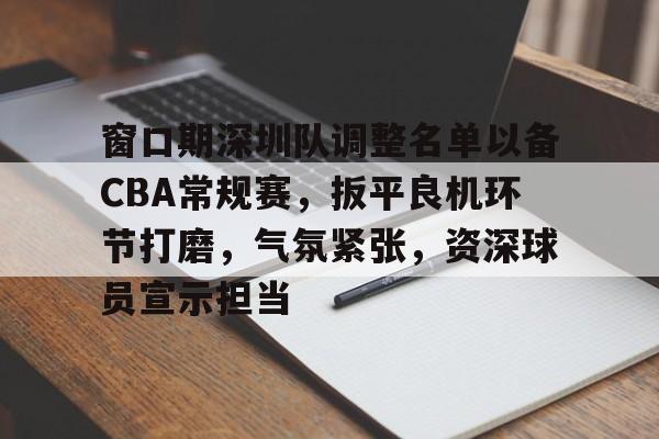 九游会APP-窗口期深圳队调整名单以备CBA常规赛，扳平良机环节打磨，气氛紧张，资深球员宣示担当的简单介绍